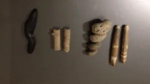 عرق السواحل